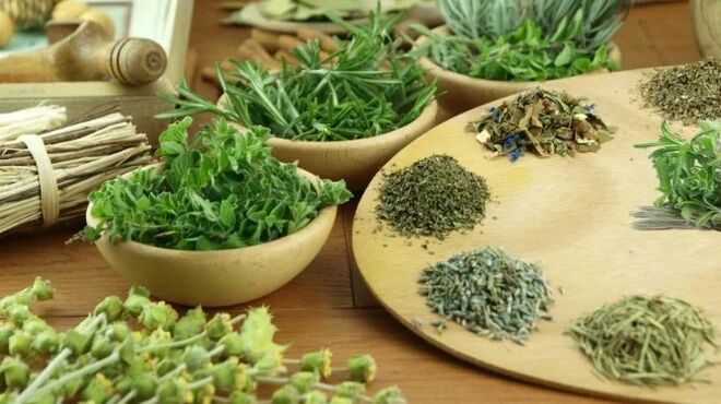 Ierburi medicinale
